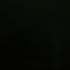 Meet your Posher, Britteny